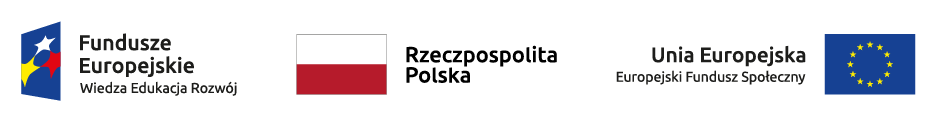 logotypy unijne POWER RP.png